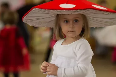 Dětský maškarní karneval 1.3.2015