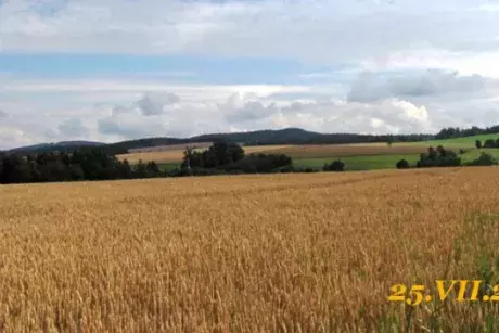 Letní pohledy na Nekoř