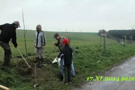 Listopadové události 2014