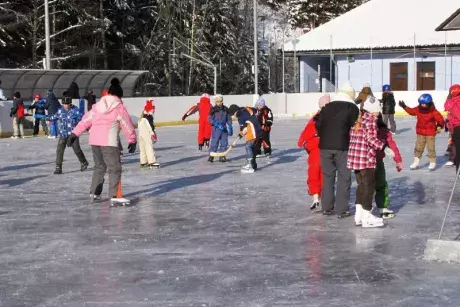 Bruslení dětí ze ZŠ Nekoř 6.2.2015