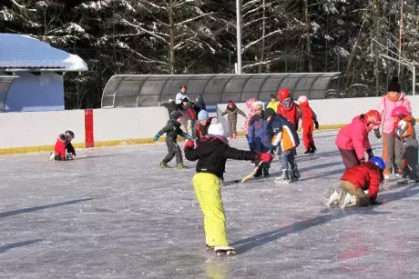 Bruslení dětí ze ZŠ Nekoř 6.2.2015