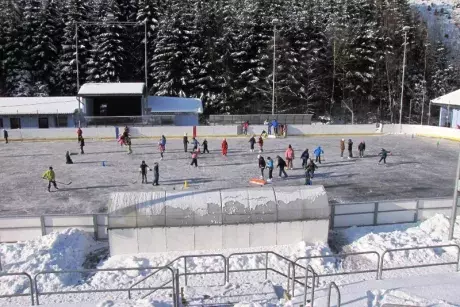 Bruslení dětí ze ZŠ Nekoř 6.2.2015