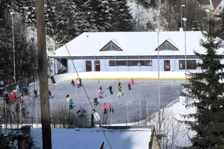 Bruslení dětí ze ZŠ Nekoř 6.2.2015