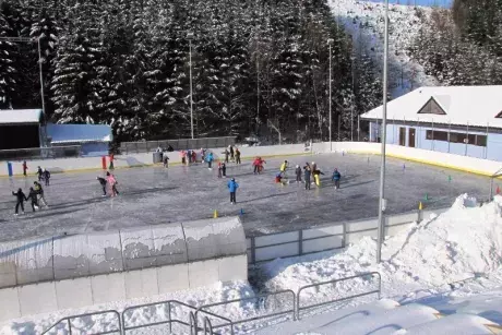 Bruslení dětí ze ZŠ Nekoř 6.2.2015