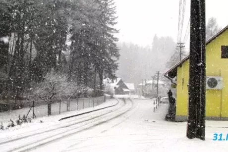 Březnová Nekoř 2015