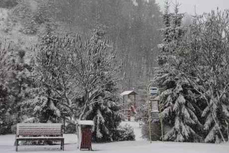 Zelené vánoce, bílé velikonoce