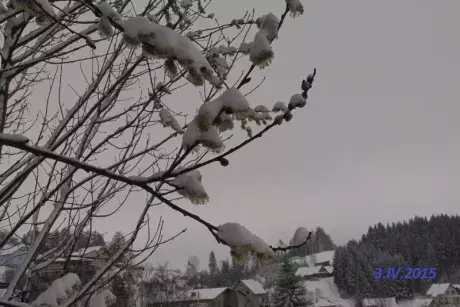 Zelené vánoce, bílé velikonoce