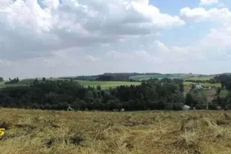 Červnové a červencové události