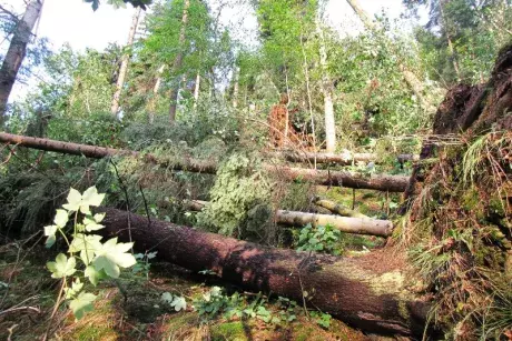 Následky noční bouře 8.7.5015