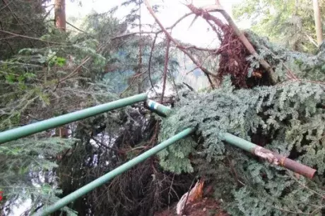 Červnové a červencové události