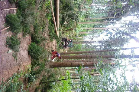 Odstraňování následků noční bouře z 8.7.2015