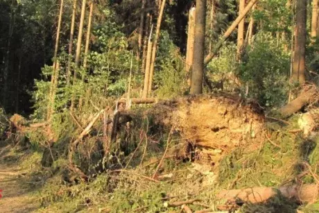 Červnové a červencové události