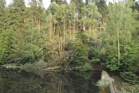 Následky noční bouře 8.7.5015