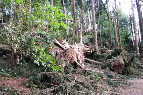 Následky noční bouře 8.7.5015
