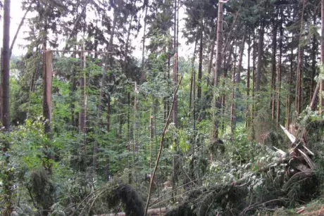 Následky noční bouře 8.7.5015