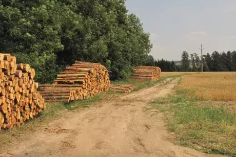 Odstraňování následků noční bouře z 8.7.2015