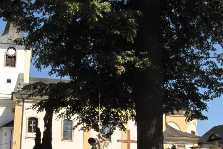 Odstraňování následků noční bouře z 8.7.2015