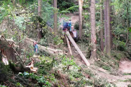 Odstraňování následků noční bouře z 8.7.2015