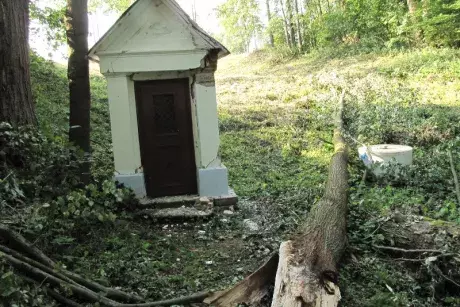 Následky noční bouře 8.7.5015