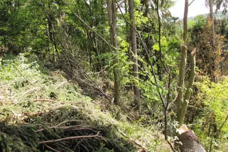 Odstraňování následků noční bouře z 8.7.2015