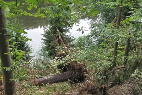 Následky noční bouře 8.7.5015