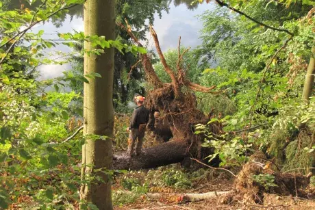 Odstraňování následků noční bouře z 8.7.2015