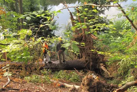 Odstraňování následků noční bouře z 8.7.2015