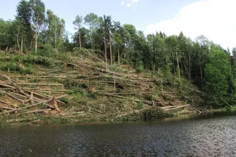 Následky noční bouře 8.7.5015