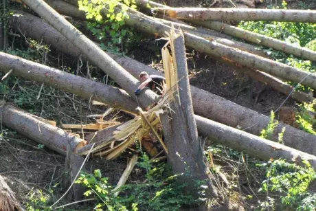 Odstraňování následků noční bouře z 8.7.2015