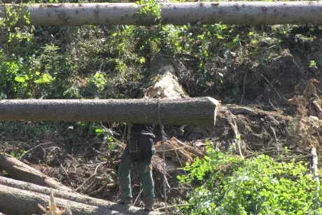 Odstraňování následků noční bouře z 8.7.2015