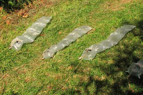 8. Nekořská cesta za pohádkou