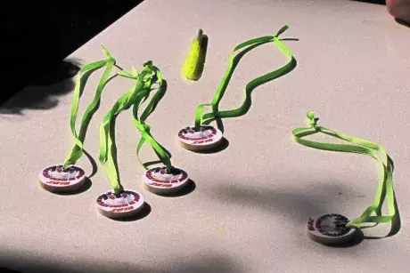 8. Nekořská cesta za pohádkou