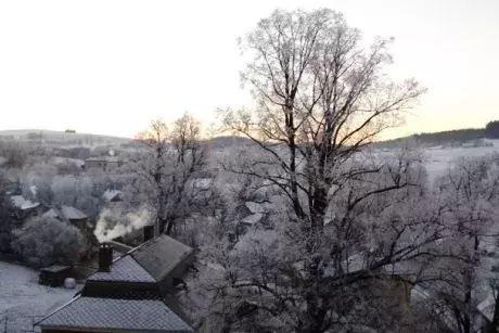 Novoroční Nekoř 1.1.2017