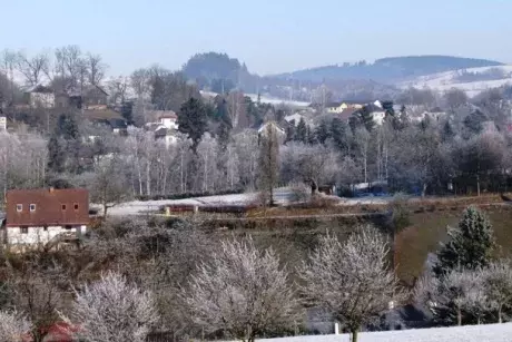 Novoroční Nekoř 1.1.2017