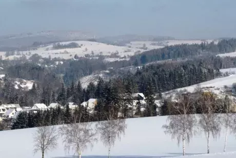 fotokronika roku 2017