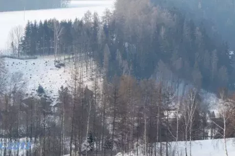 Panoramatické pohledy na Nekoř