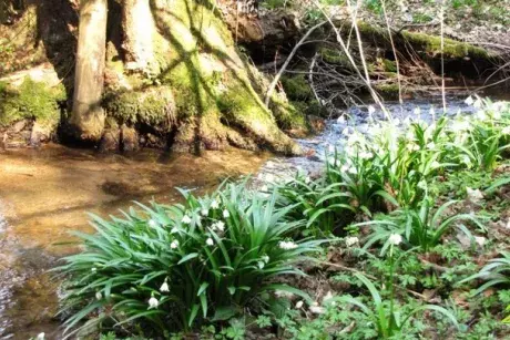 fotokronika roku 2017