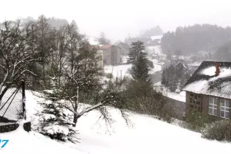 fotokronika roku 2017