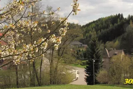 fotokronika roku 2017