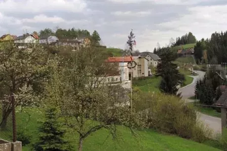 fotokronika roku 2017