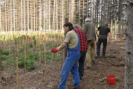 Události v obci - květen 2017