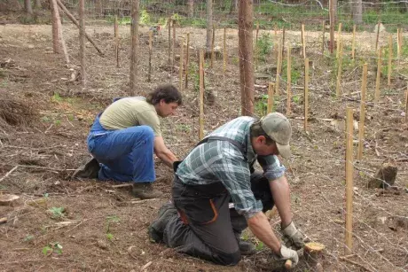 Události v obci - květen 2017