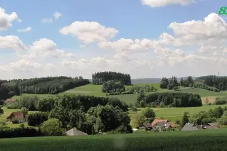 červen-červenec 2017