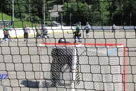 fotokronika roku 2017