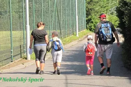 fotokronika roku 2017