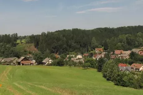 fotokronika roku 2017