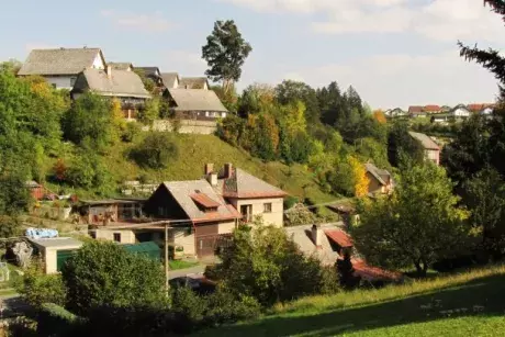 fotokronika roku 2017