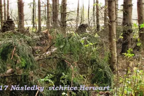 fotokronika roku 2017