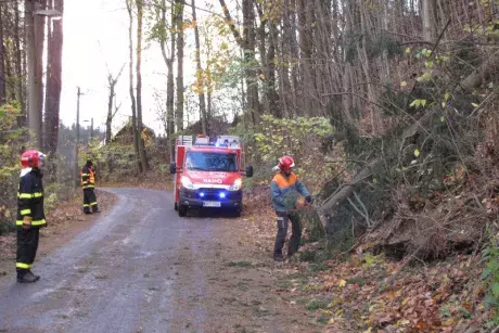 Následky vichřice Herwart