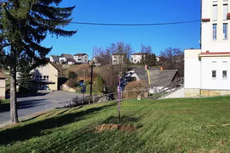 Sázení pamětní lípy 17.11.2018